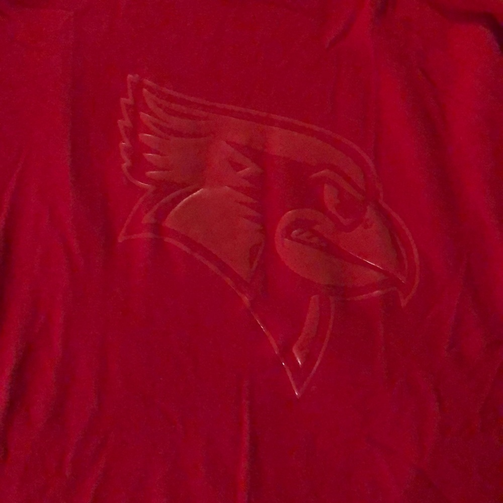 VS PINK Illinois state crew neck sweatshirt